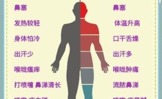 风寒感冒和风热感冒的区别与治疗要点：风寒感冒和风热感冒的区别是什么