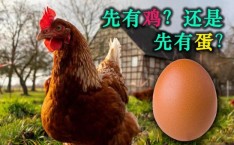 居然和竟然的区别及用法：居然和竟然的意思一样吗