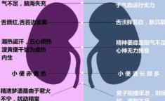 肾阴虚和阳虚的区别及症状女性：肾阴虚和肾阳虚女性有哪些反应