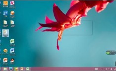 win8 序列号 win8激活密钥最新