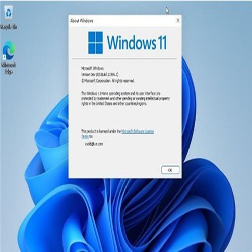 win10正版升级 win10专业版哪个版本最好用-红绒网 win10正版升级 win10专业版哪个版本最好用-红绒网