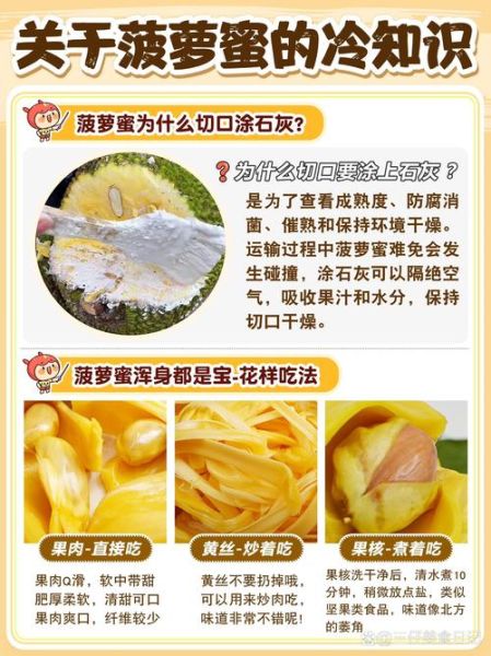 红肉菠萝蜜和黄肉菠萝蜜的区别:红肉菠萝蜜与黄肉菠萝蜜的区别价格-红绒网 红肉菠萝蜜和黄肉菠萝蜜的区别:红肉菠萝蜜与黄肉菠萝蜜的区别价格-红绒网
